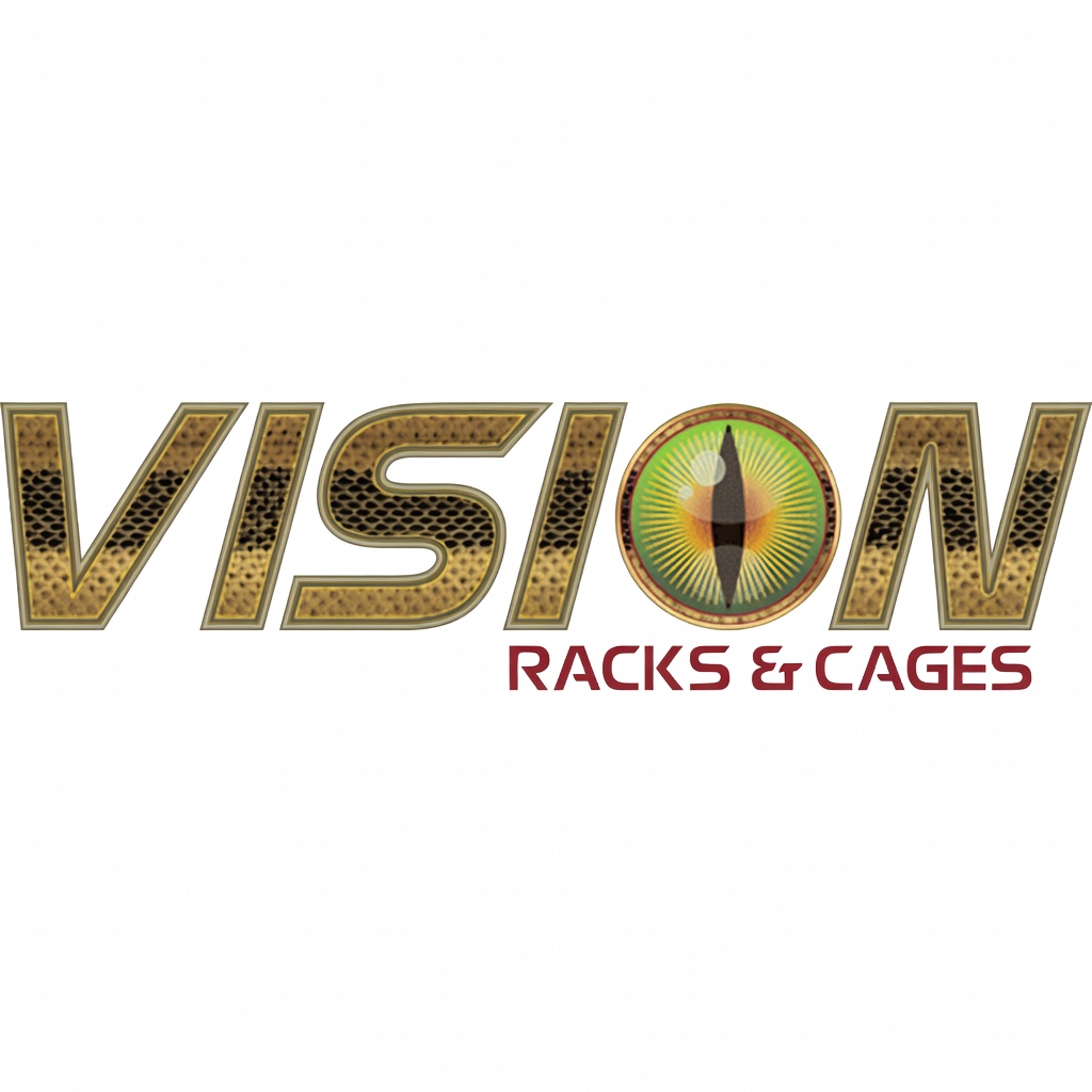 Vision